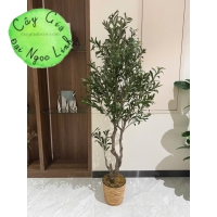 CÂY OLIVE GIẢ TRANG TRÍ NỘI THẤT PHONG CÁCH BẮC ÂU NL24-10