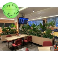 THI CÔNG CÂY GIẢ TẠI SÂN BAY 