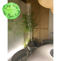  LẨU CLOUD POT- THI CÔNG CÂY GIẢ TAI HỒ CHÍ MINH