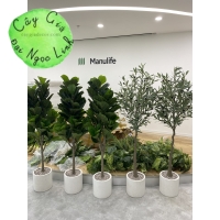 VĂN PHÒNG BẢO HIỂM MANULIFE 