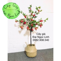 NL10-2 Cây lựu 90 cm  