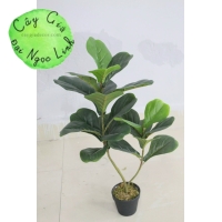 Cây bàng singapore giả 80cm NL2-4 