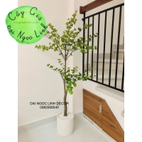 CÂY THẠCH NAM GIẢ 1M6 NL27-4