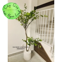 CÂY THẠCH NAM GIẢ 1M6 NL27-5