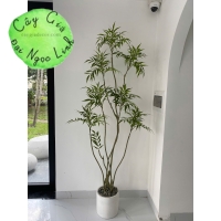 CÂY HOÀNG LIÊN GIẢ TRANG TRÍ NỘI THẤT NL35-2