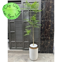CÂY PHƯỢNG GIẢ TRANG TRÍ PHONG CÁCH BẮC ÂU SANG TRỌNG