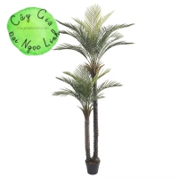 CÂY CHÀ LÀ GIẢ TRANG TRÍ 