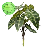 CHẬU CÂY MÔN QUAN ÂM ĐỂ BÀN NL300-8