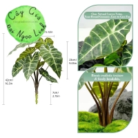 CHẬU CÂY MÔN QUAN ÂM ĐỂ BÀN NL300-8
