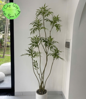 THI CONG CAY CANH GIA TRANG TRÍ