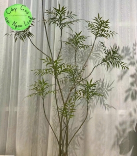 THI CONG CAY CANH GIA TRANG TRÍ