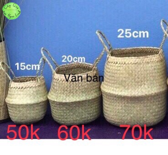 Giỏ cối 15cm - 20cm - 25 cm