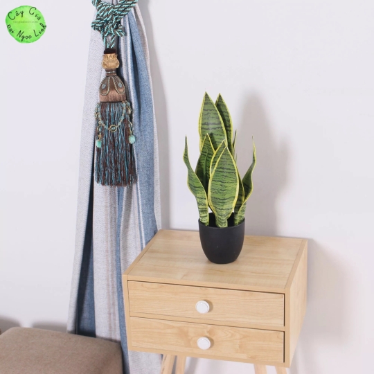 NL21-1 Cây Lưỡi Hổ 40cm 