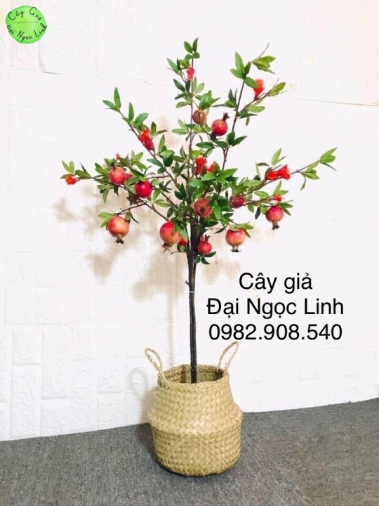 NL10-2 Cây lựu 90 cm  