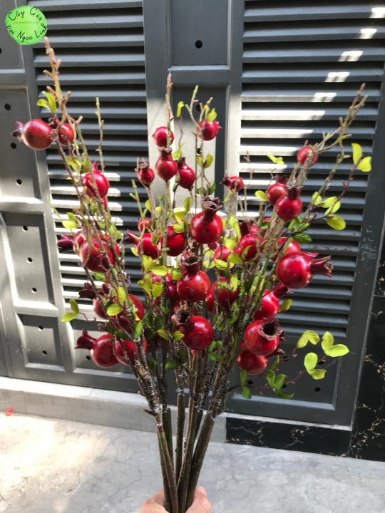 NL10-5 Nhánh lựu 70 cm 