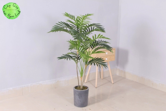 CÂY CAU GIẢ 1M2