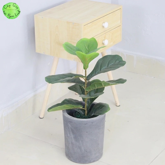 Cây bàng singapore giả 50cm NL2-2 