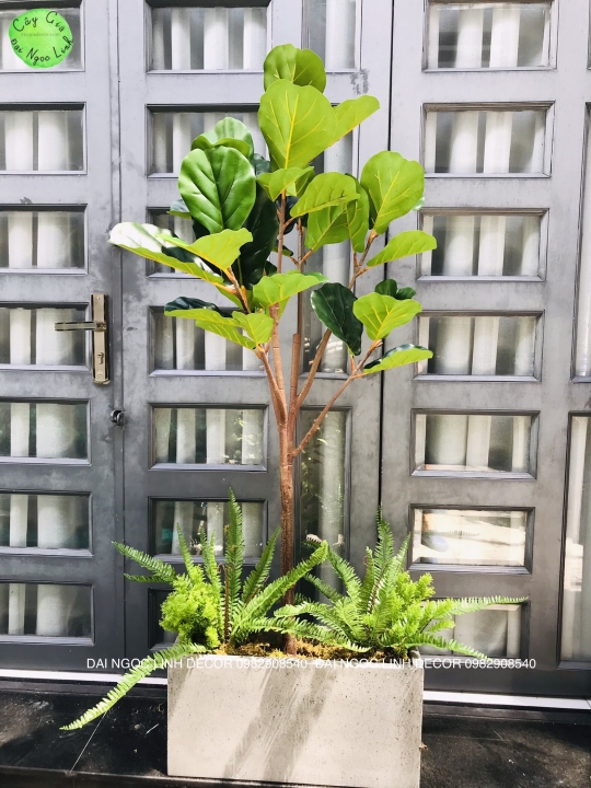 Bồn cây tiêu cảnh NL200-2