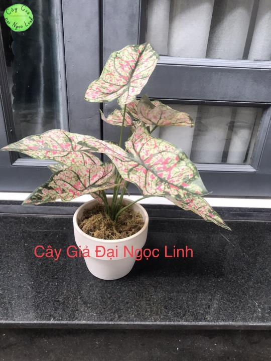 CÂY GIẢ ĐỂ BÀN NL300-2