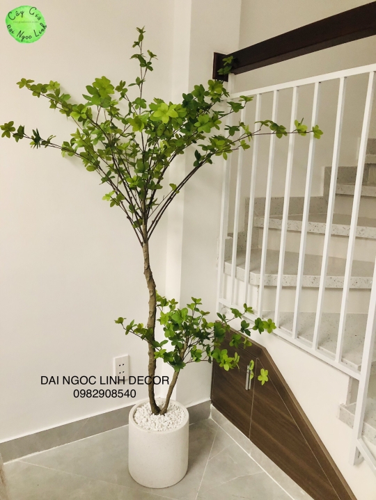 CÂY THẠCH NAM GIẢ 1M6 NL27-5