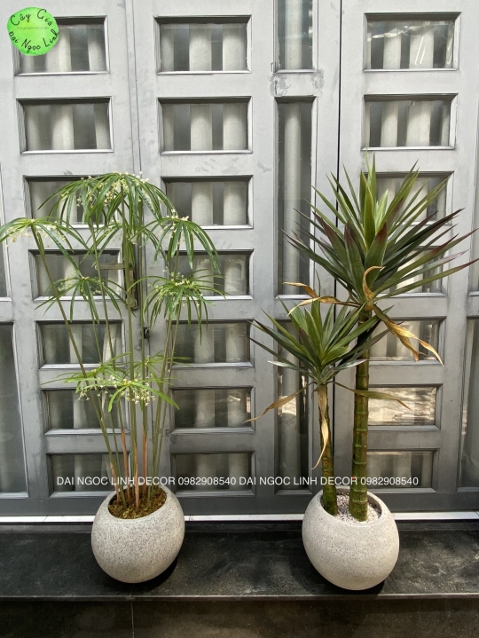 CÂY THỦY TRÚC GIẢ 1M2 